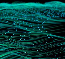 What Motivates Native Computer Science Students?